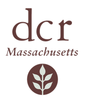 DCR-logo-sm